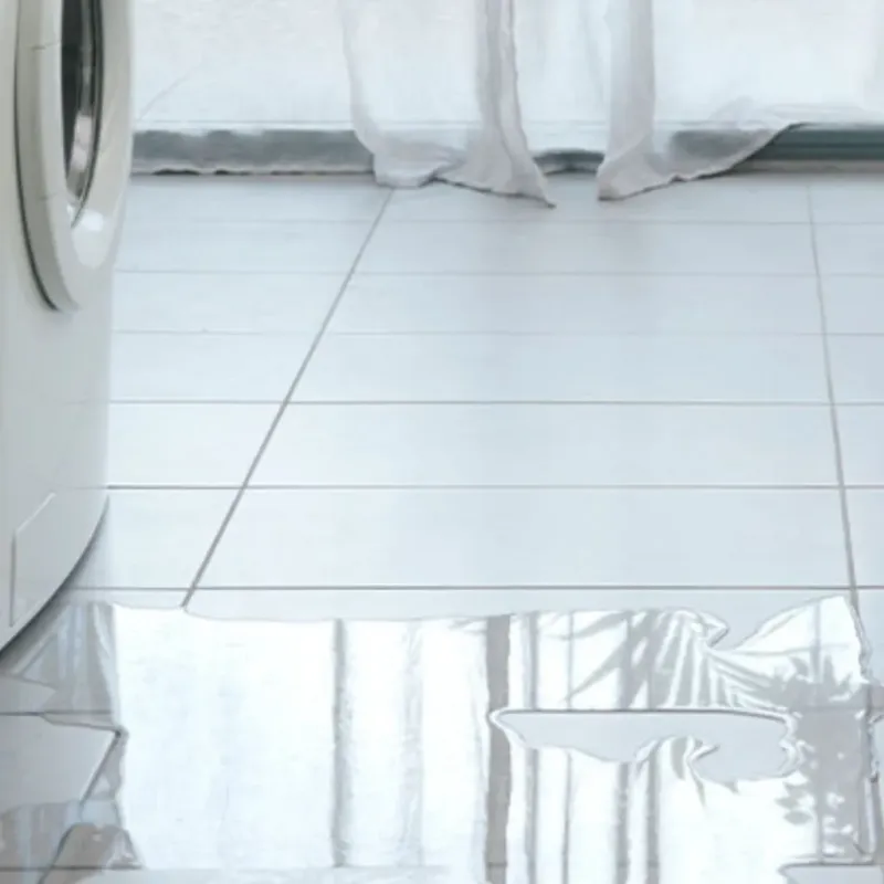 Appliance Leak Cleanup in Alto, WI