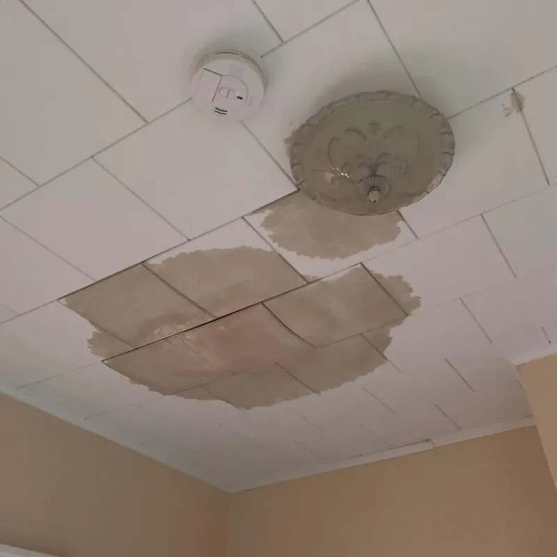 Ceiling Water Damage Repair in Alto, WI