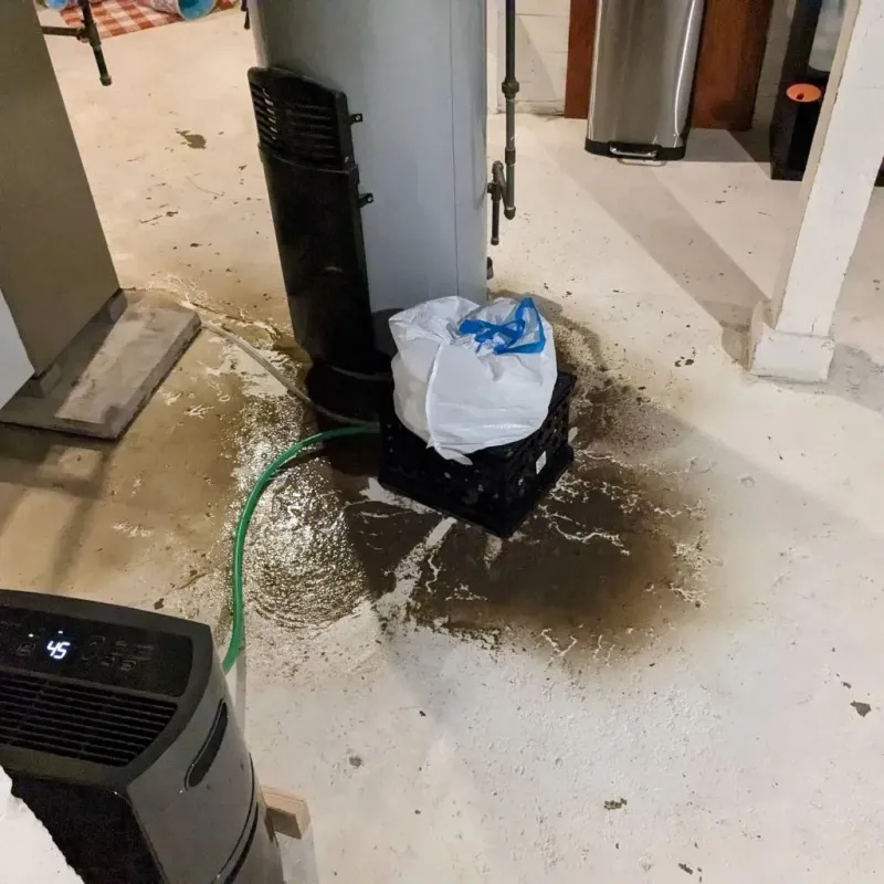 Sewage Backup Cleanup Service in Alto, WI